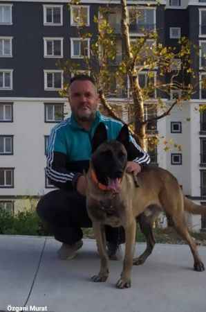 Pendik’te Sefer Acar öldürüldü Pendik’te Sefer Acar öldürüldü