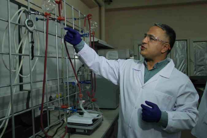 Deniz marulları enerji kaynağına dönüştü Deniz marulları enerji kaynağına dönüştü