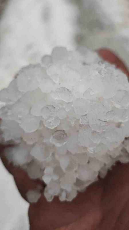 Denizli'de dolu yağışı üzüm bağlarını vurdu Denizli'de dolu yağışı üzüm bağlarını vurdu