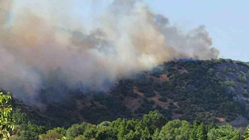 Balıkesir Valisi Ustaoğlu: "Orman yangını kontrol altına alındı" Balıkesir Valisi Ustaoğlu: "Orman yangını kontrol altına alındı"
