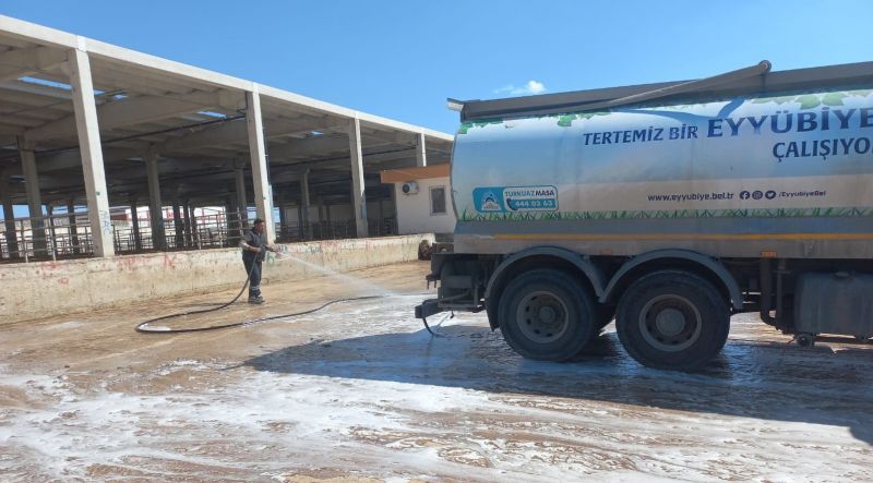 Şanlıurfa’ya Canlı Hayvan Giriş Çıkışı Yasaklandı Şanlıurfa’ya Canlı Hayvan Giriş Çıkışı Yasaklandı