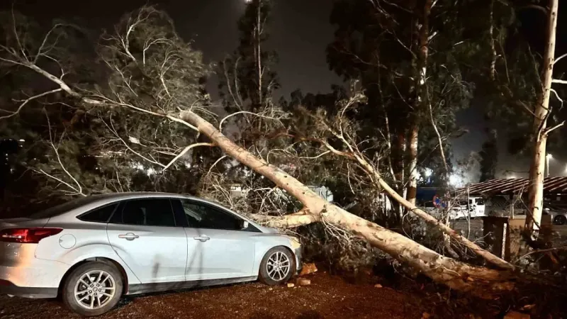 Hatay’da şiddetli fırtına: Ağaç devrildi, çöp konteynerleri yola sürüklendi Hatay’da şiddetli fırtına: Ağaç devrildi, çöp konteynerleri yola sürüklendi