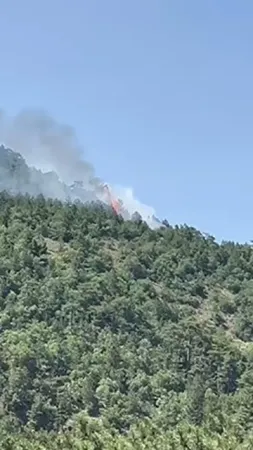 Ankara’da orman yangını çıktı Ankara’da orman yangını çıktı