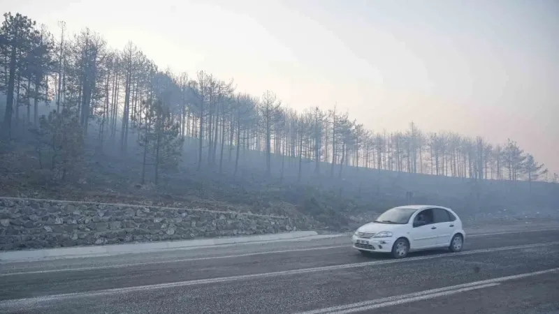 Bursa’daki orman yangınında 3. gün Bursa’daki orman yangınında 3. gün