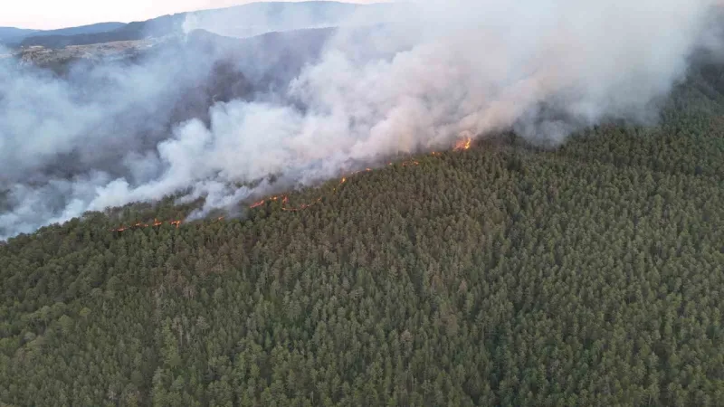 Türkiye orman yangınlarıyla mücadelede alarmda: Risk altındaki alan 12,5 milyon hektar Türkiye orman yangınlarıyla mücadelede alarmda: Risk altındaki alan 12,5 milyon hektar