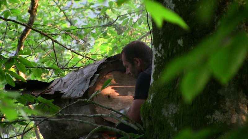 Macahel balı Anzer Balı'na rakip oluyor Macahel balı Anzer Balı'na rakip oluyor