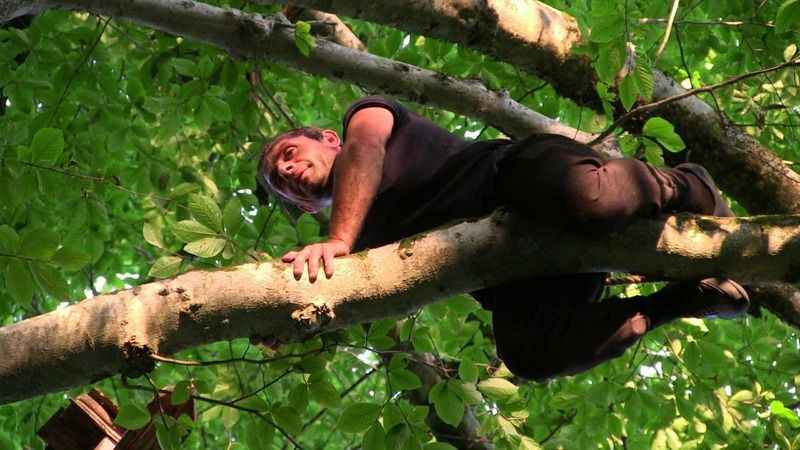 Macahel balı Anzer Balı'na rakip oluyor Macahel balı Anzer Balı'na rakip oluyor