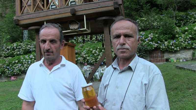 Macahel balı Anzer Balı'na rakip oluyor Macahel balı Anzer Balı'na rakip oluyor