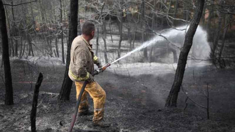 Bursa'daki orman yangını 17 saatin sonunda kontrol altına alındı Bursa'daki orman yangını 17 saatin sonunda kontrol altına alındı