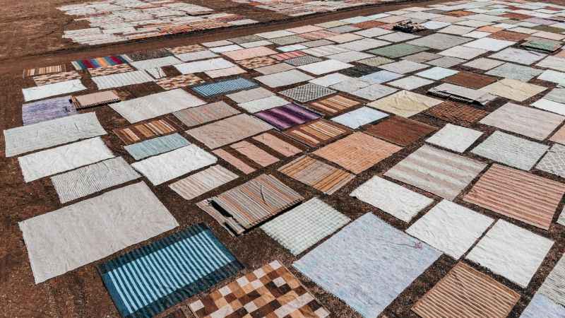 Halı tarlalarında güneşin soldurduğu milyonluk halıların hasatı başladı Halı tarlalarında güneşin soldurduğu milyonluk halıların hasatı başladı