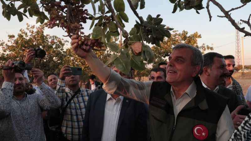 Şanlıurfa’da fıstık ile isot yemeklerde buluştu Şanlıurfa’da fıstık ile isot yemeklerde buluştu