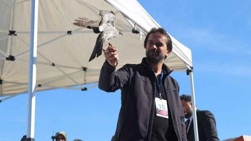 Rize’de en güzel atmaca yarışması Rize’de en güzel atmaca yarışması