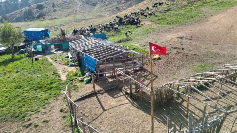 Konargöçerlerin kış öncesi zorlu göçü başladı Konargöçerlerin kış öncesi zorlu göçü başladı