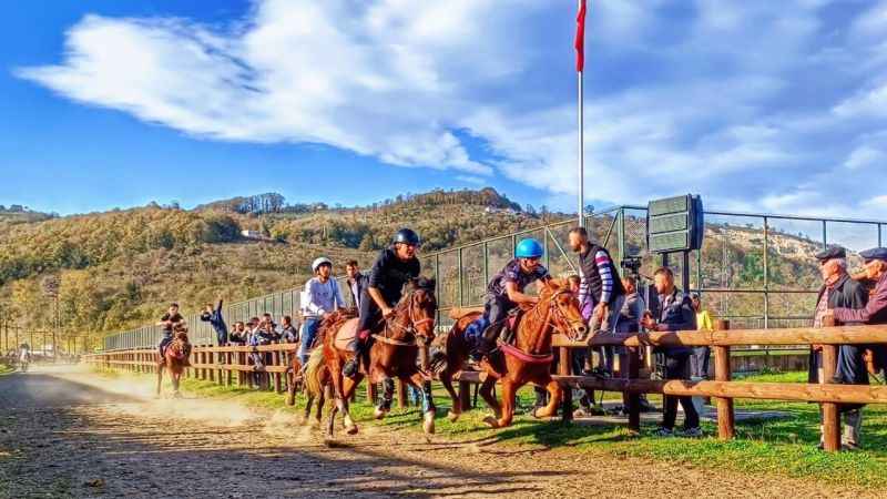 Ordu’da rahvan at yarışları büyük ilgiyle izlendi Ordu’da rahvan at yarışları büyük ilgiyle izlendi