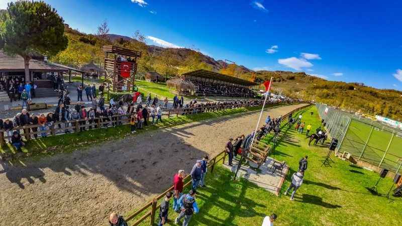 Ordu’da rahvan at yarışları büyük ilgiyle izlendi Ordu’da rahvan at yarışları büyük ilgiyle izlendi