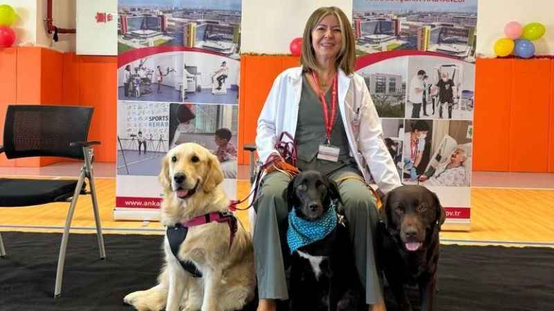 Özel eğitimli köpekler hastalara terapide yardımcı oluyor Özel eğitimli köpekler hastalara terapide yardımcı oluyor