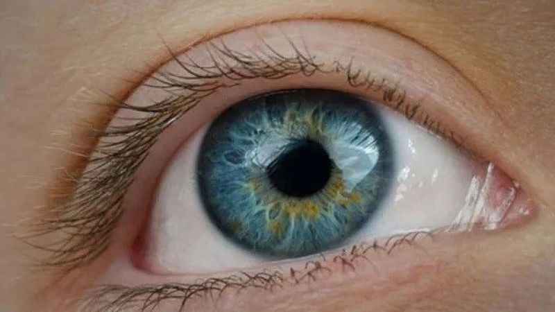 Kataraktı hafife almayın! Kataraktı hafife almayın!