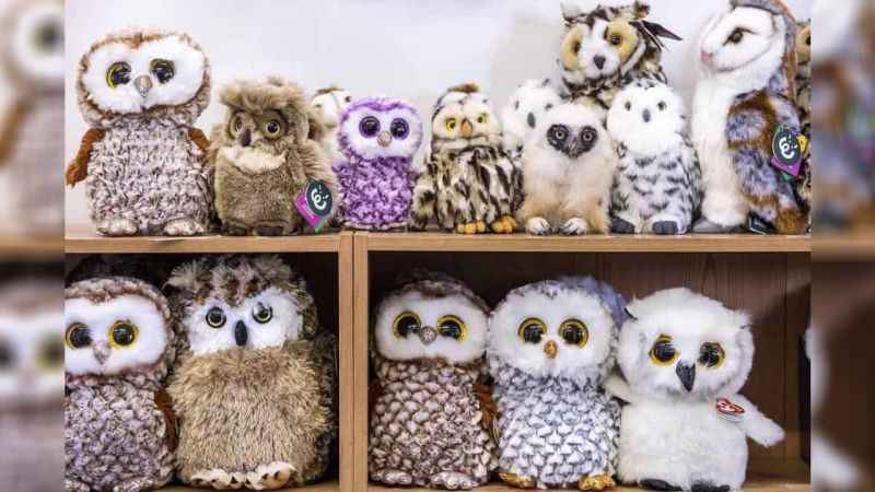 Baykuşu görenlerin IQ’su 150 imiş! Sadece 4 saniyeniz var… Baykuşu görenlerin IQ’su 150 imiş! Sadece 4 saniyeniz var…