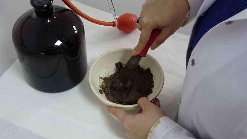 Gemlik'te zeytin üreticilerine toprak analizi hizmeti Gemlik'te zeytin üreticilerine toprak analizi hizmeti