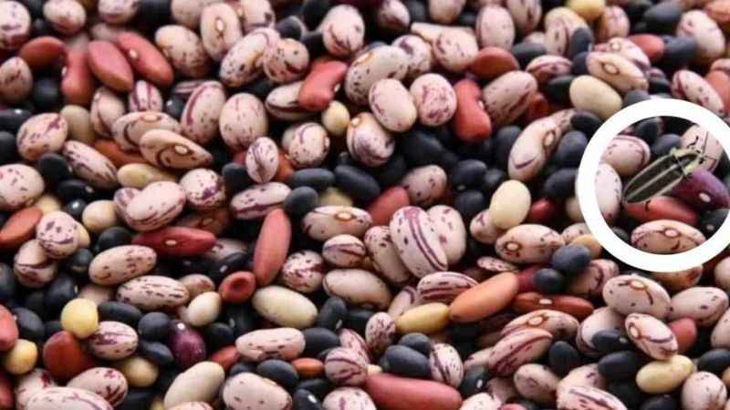 Gözlerinize güveniyor musunuz? Muhteşem algı yeteneği gerekiyor! Gözlerinize güveniyor musunuz? Muhteşem algı yeteneği gerekiyor!