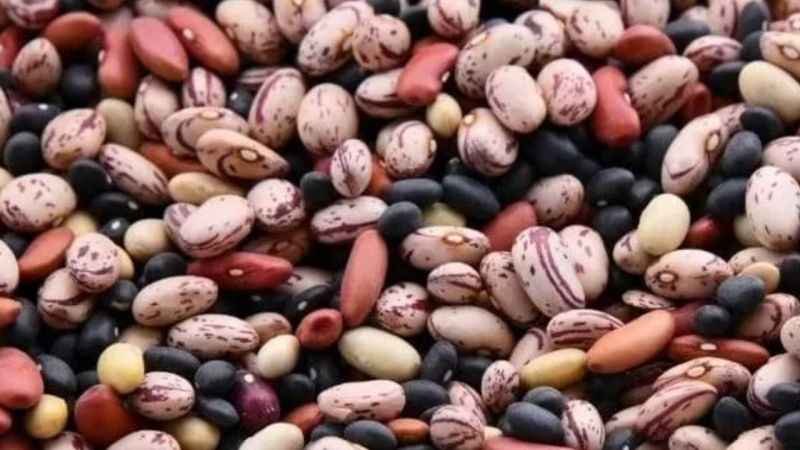 Gözlerinize güveniyor musunuz? Muhteşem algı yeteneği gerekiyor! Gözlerinize güveniyor musunuz? Muhteşem algı yeteneği gerekiyor!