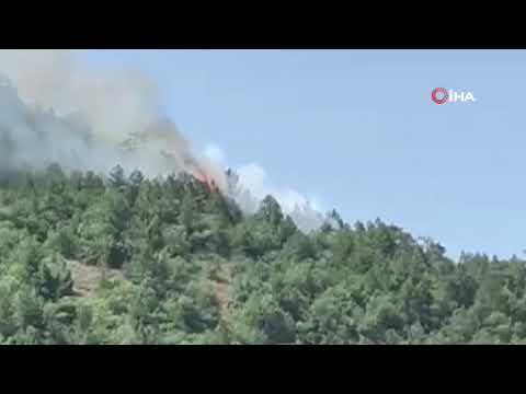 Ankara’da orman yangını çıktı Ankara’da orman yangını çıktı