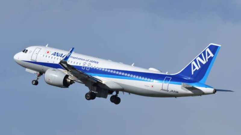 Japonya’da yolcu kabin görevlisini ısırdı Japonya’da yolcu kabin görevlisini ısırdı