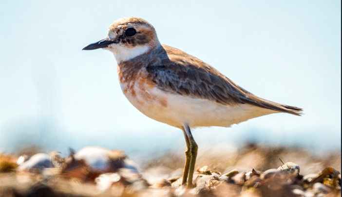 Doğaya Kanat Açtık'ın yeni rotası Antalya oldu Doğaya Kanat Açtık'ın yeni rotası Antalya oldu