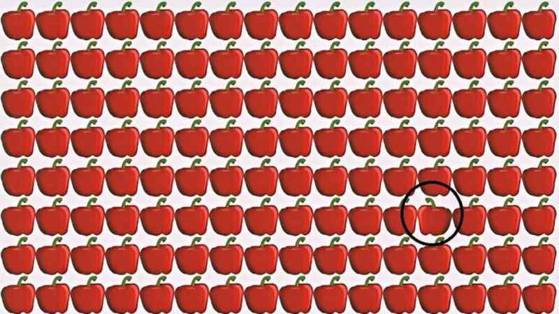 Sadece 2 saniyeniz var! Gözlerinize güveniyorsanız test başlasın…