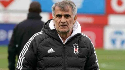 Şenol Güneş: 