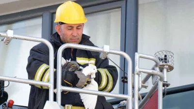 Erzurum'da itfaiyecilerin güvercin operasyonu
