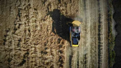 Konya Ovası'ndaki buğday hasadında 2 milyon 400 bin rekolte