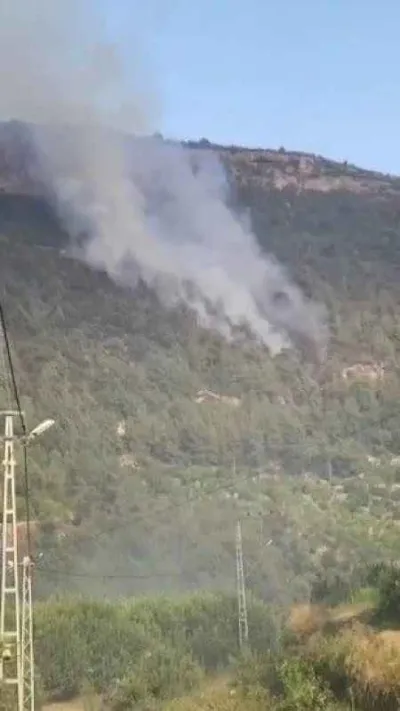 Mersin'de orman yangını