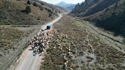 Konargöçerlerin kış öncesi zorlu göçü başladı