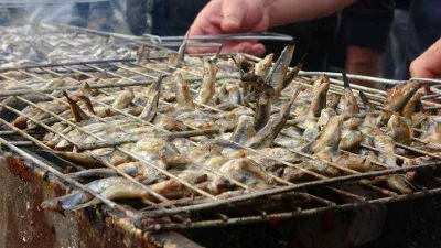 Sakin şehirde hamsi festivaline rekor katılım