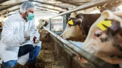 Solunum ve temas yoluyla insana da bulaşıyor!