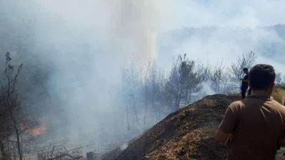 İzmir'de iki orman yangını birden başladı